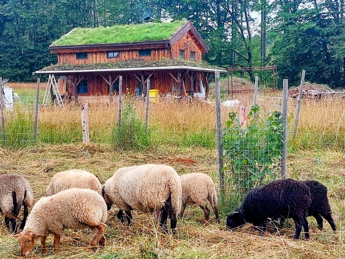 Chalet Boruvka - Biofarma Na Samote V Lesich Benesov  Extérieur photo