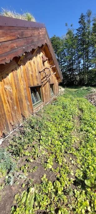 Chalet Boruvka - Biofarma Na Samote V Lesich Benesov  Extérieur photo