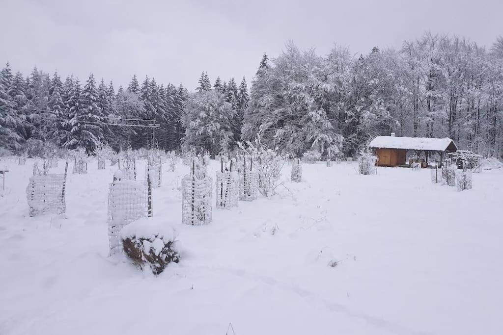 Chalet Boruvka - Biofarma Na Samote V Lesich Benesov  Extérieur photo