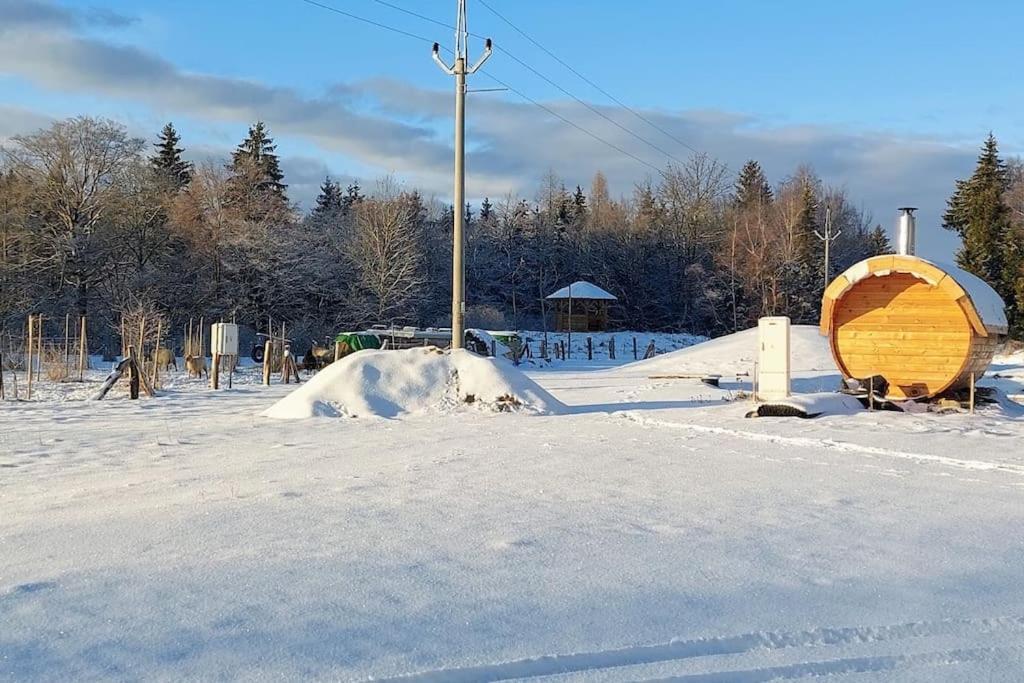 Chalet Boruvka - Biofarma Na Samote V Lesich Benesov  Extérieur photo