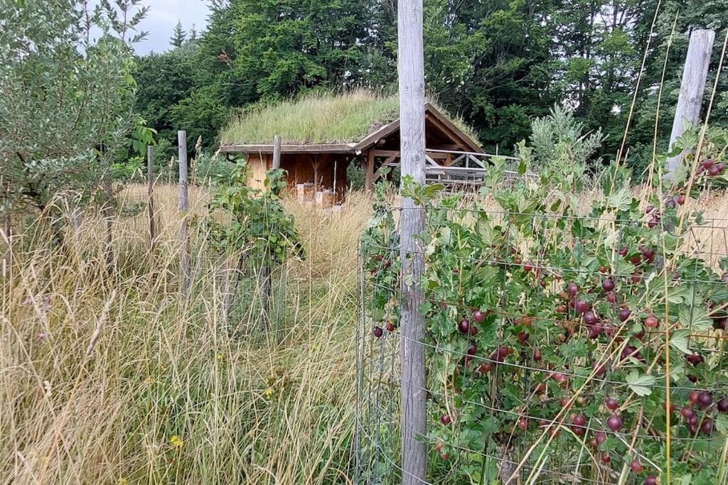 Chalet Boruvka - Biofarma Na Samote V Lesich Benesov  Extérieur photo