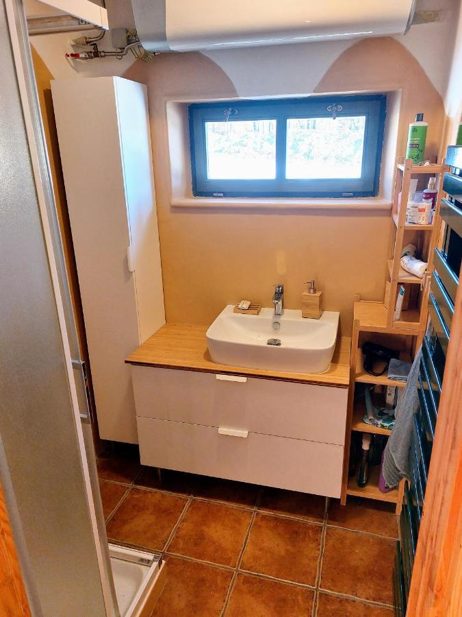Chalet Boruvka - Biofarma Na Samote V Lesich Benesov  Extérieur photo