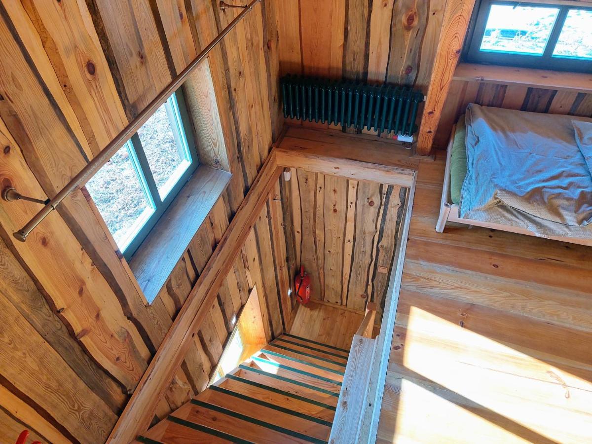 Chalet Boruvka - Biofarma Na Samote V Lesich Benesov  Extérieur photo