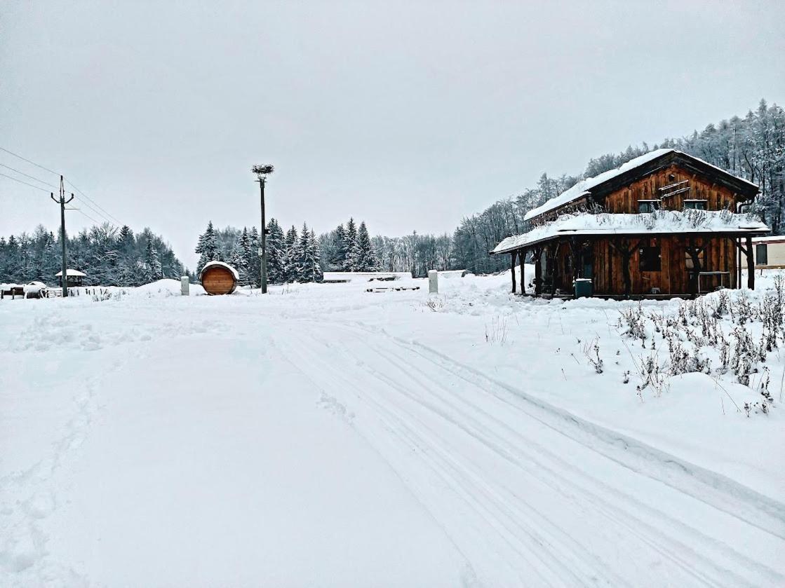 Chalet Boruvka - Biofarma Na Samote V Lesich Benesov  Extérieur photo