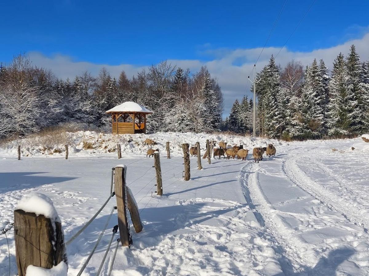 Chalet Boruvka - Biofarma Na Samote V Lesich Benesov  Extérieur photo